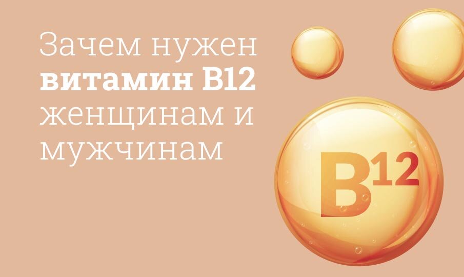 Для чего нужен витамин B12 в организме?