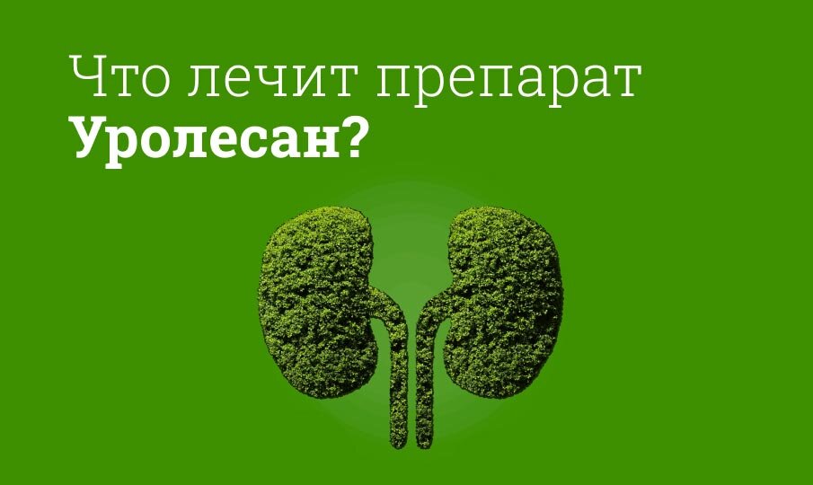 Что лечит препарат Уролесан?