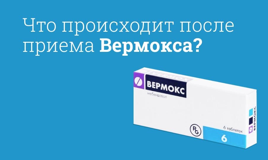 Схема приема декарис вермокс