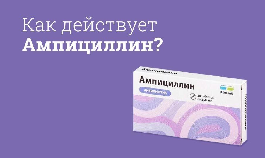 Как действует Ампициллин?