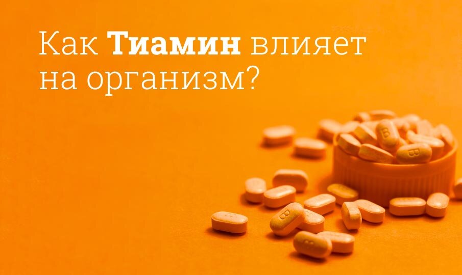 Как Тиамин влияет на организм?