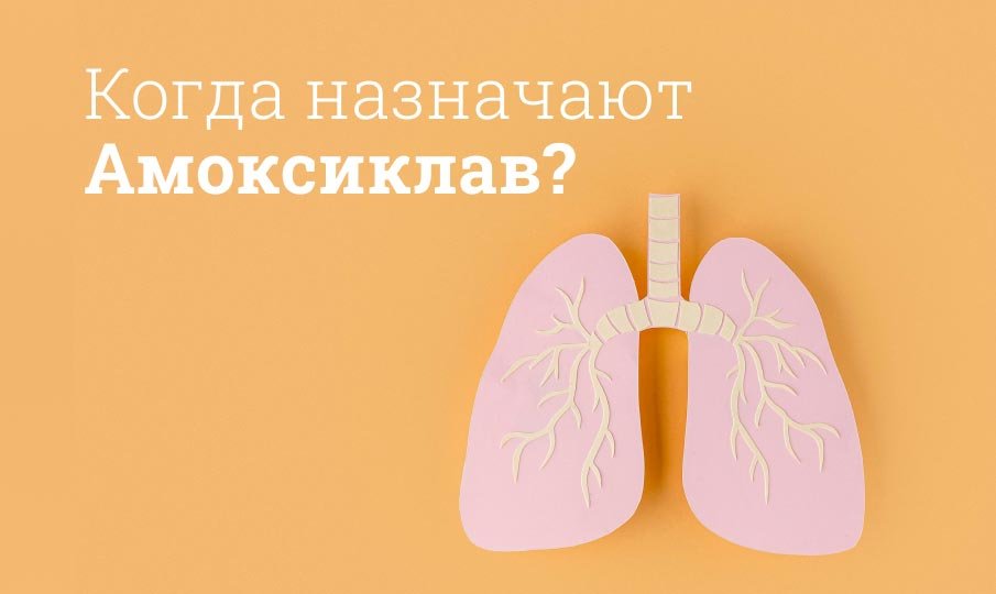 Когда назначают Амоксиклав?