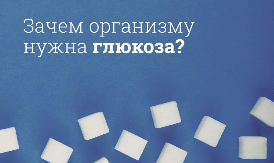 Зачем организму нужна глюкоза?