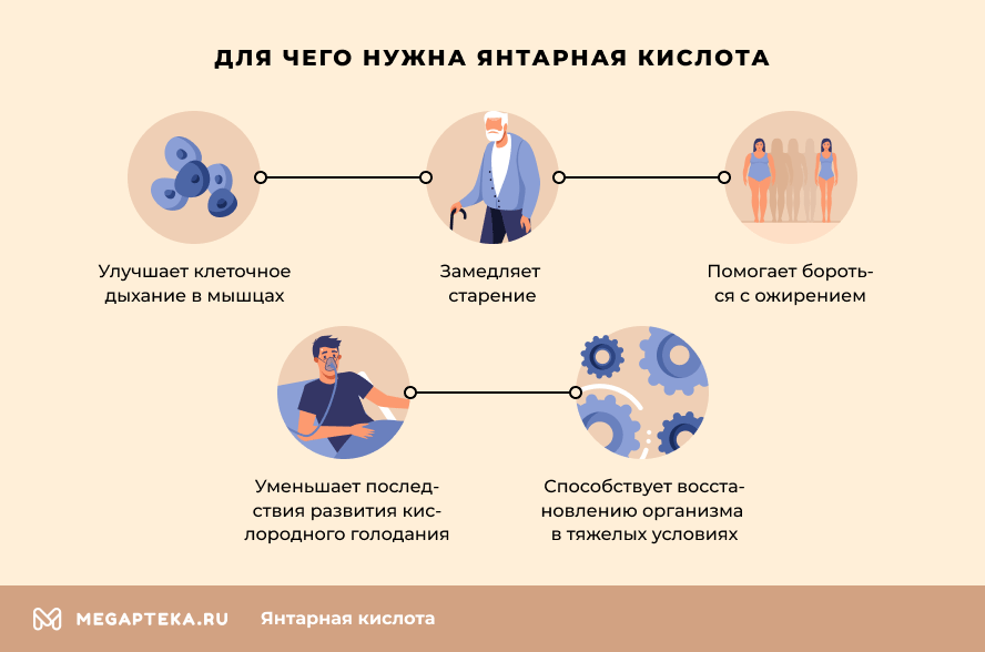 Янтарная кислота - показания к применению взрослым