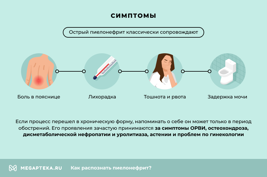 Стол 7 при пиелонефрите почек у женщин