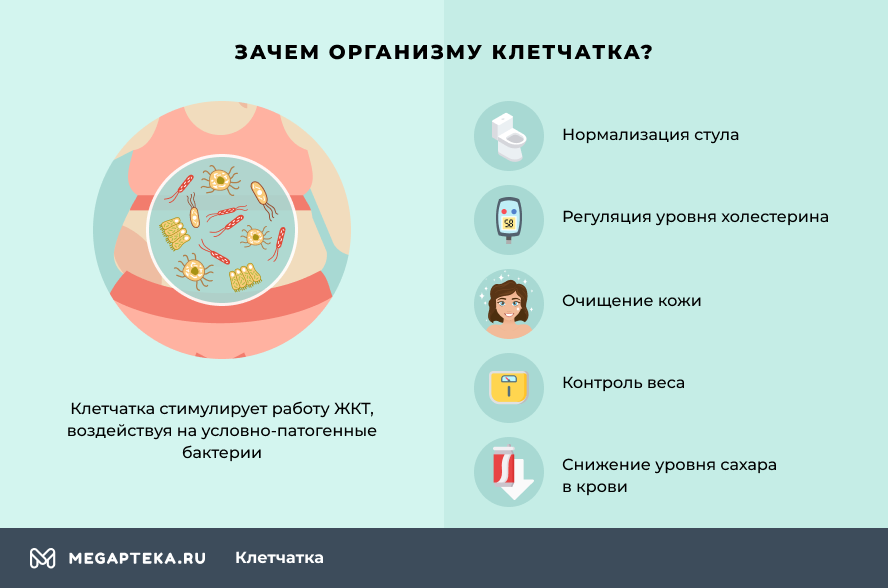 Клетчатка польза. Зачем клетчатка организму. Зачем нужна клетчатка организму. Се зачем организму. Зачем организму Бор.