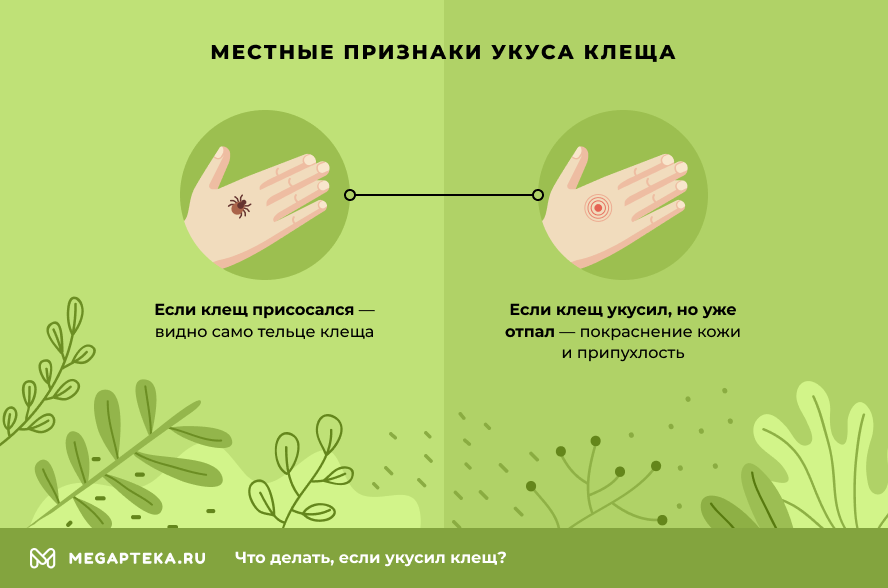 Юнидокс при укусе клеща схема