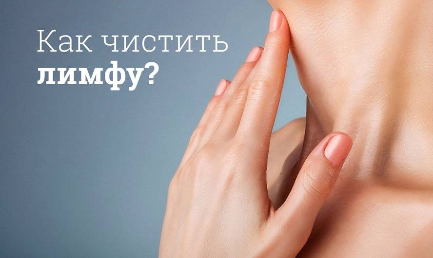 Лимфатическая система, её функции и что такое чистка лимфы