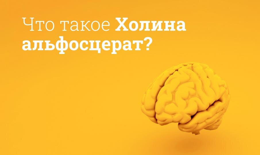 Что такое Холина альфосцерат?