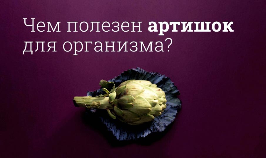 Чем полезен Артишок для организма?