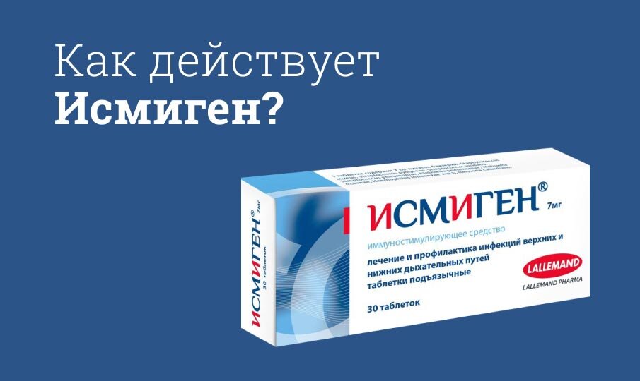 Как действует Исмиген?